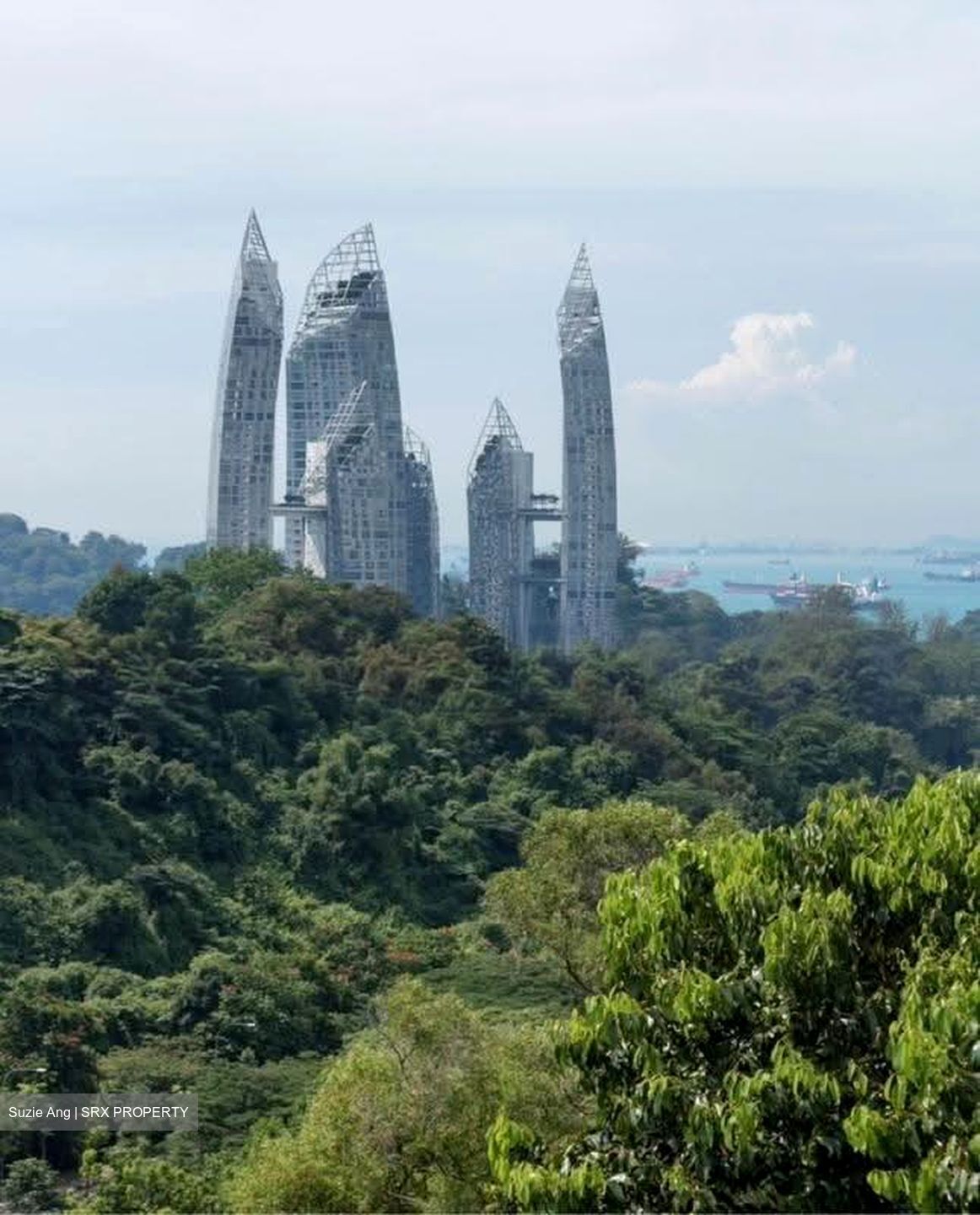 Reflections At Keppel Bay (D4), Condominium #610368121
